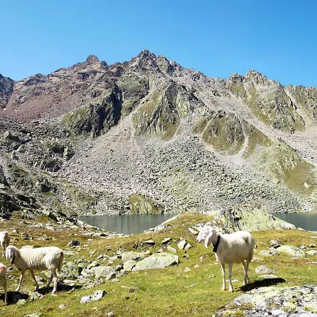 Alpenblick By Interhome Appartement Sölden