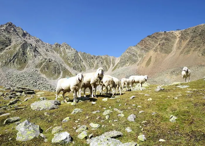 Alpenblick By Interhome 公寓 索尔登